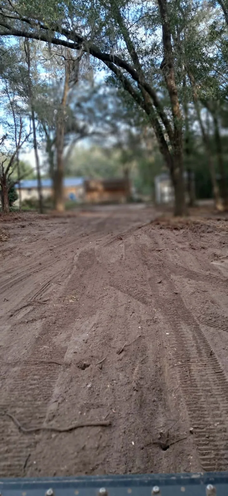 Prepared access path with equipment tracks beneath mature trees during a shed repositioning project