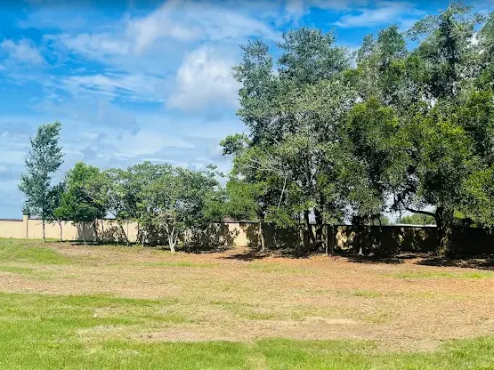 Open field in Dunnellon FL freshly cut with a bush hog beside a stand of live oaks