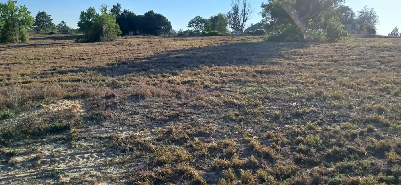 After bush hog mowing: freshly maintained acreage with heavy overgrowth removed