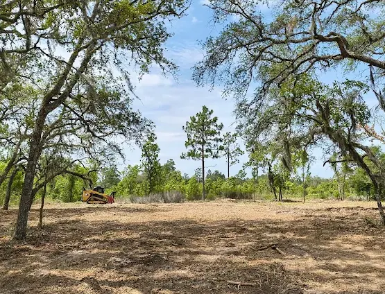 Cleared oak hammock in Dunnellon FL after forestry mulching by West Marion Forestry Mulching