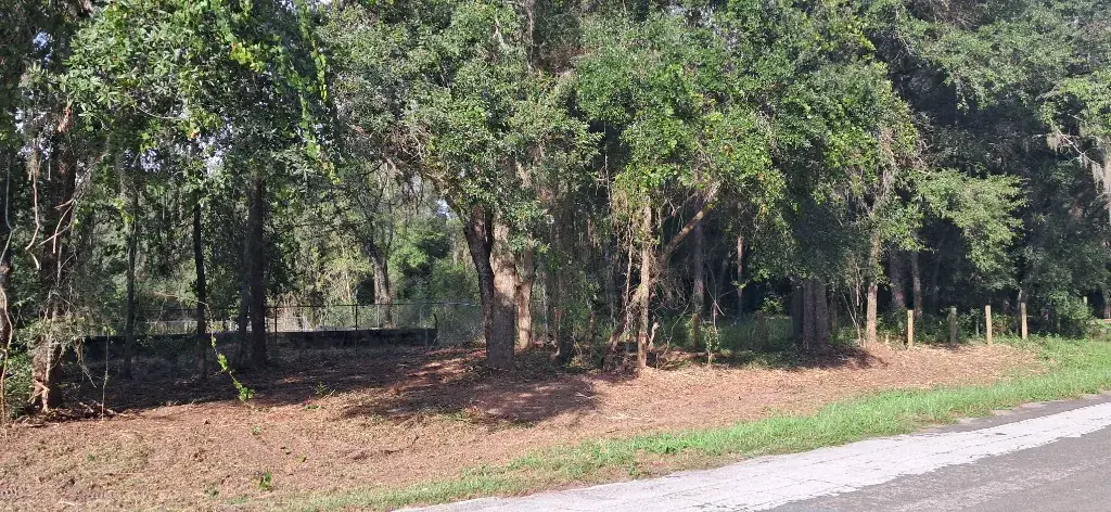 Context: retention pond tree line along the road in Citrus Springs, FL, with chain-link fence and posts after brush was pulled back