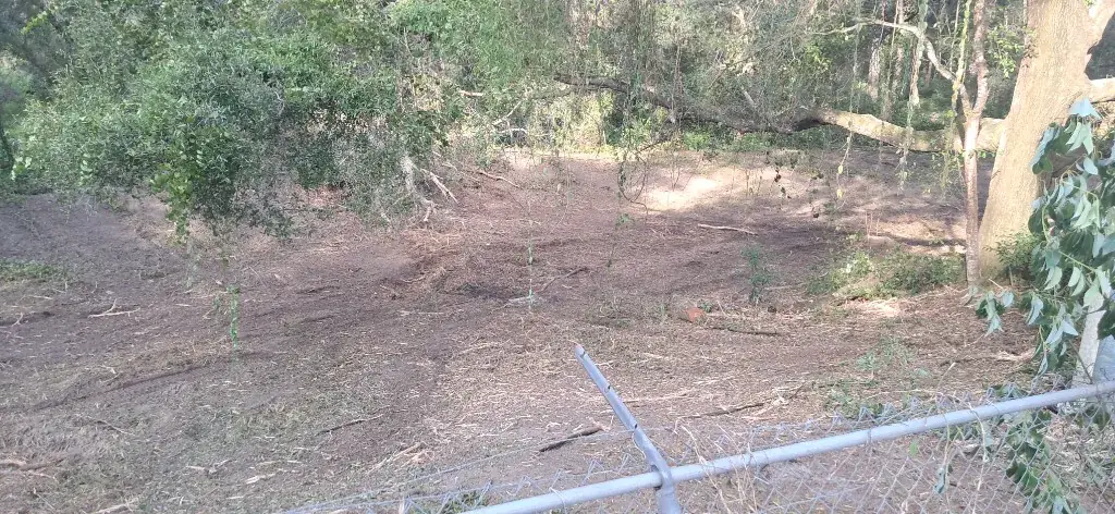 After: cleared retention pond basin in Citrus Springs, FL, with hanging branches and mulched ground in the depression